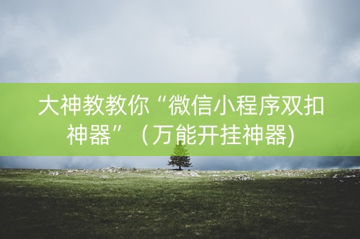 大神教教你“微信小程序双扣神器”（万能开挂神器)
