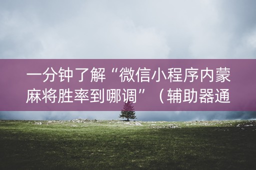 一分钟了解“微信小程序内蒙麻将胜率到哪调”（辅助器通用版)