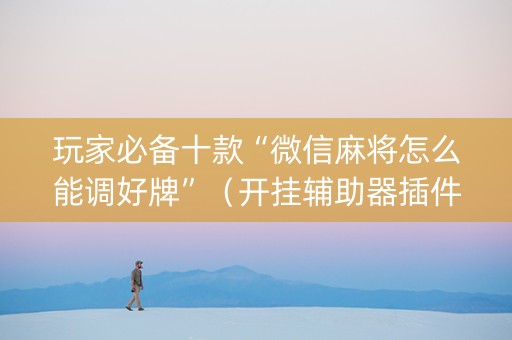 玩家必备十款“微信麻将怎么能调好牌”（开挂辅助器插件)