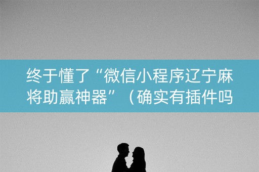 终于懂了“微信小程序辽宁麻将助赢神器”（确实有插件吗)