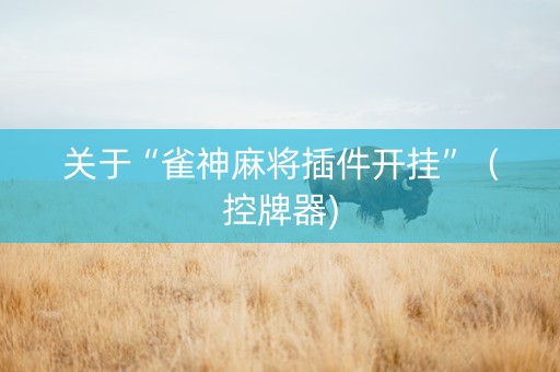 关于“雀神麻将插件开挂”（控牌器)