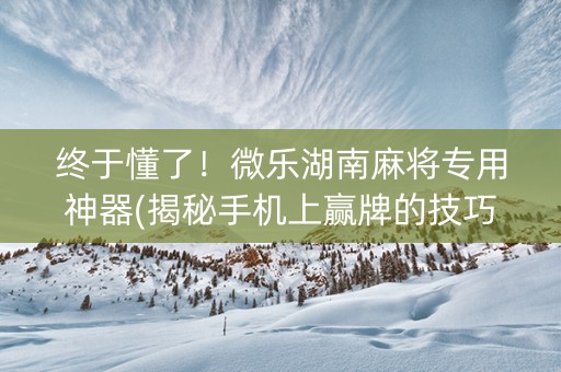 终于懂了！微乐湖南麻将专用神器(揭秘手机上赢牌的技巧)