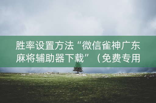 胜率设置方法“微信雀神广东麻将辅助器下载”（免费专用神器)