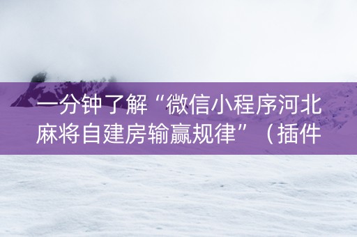 一分钟了解“微信小程序河北麻将自建房输赢规律”（插件可信吗)