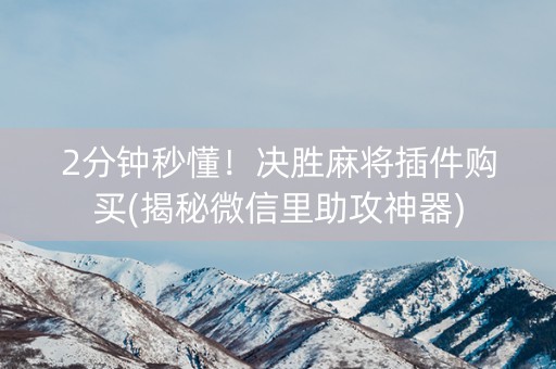 2分钟秒懂！决胜麻将插件购买(揭秘微信里助攻神器)