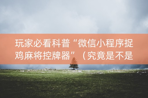 玩家必看科普“微信小程序捉鸡麻将控牌器”（究竟是不是有挂)