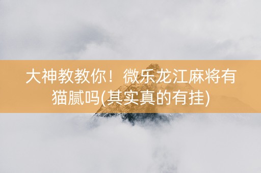大神教教你！微乐龙江麻将有猫腻吗(其实真的有挂)