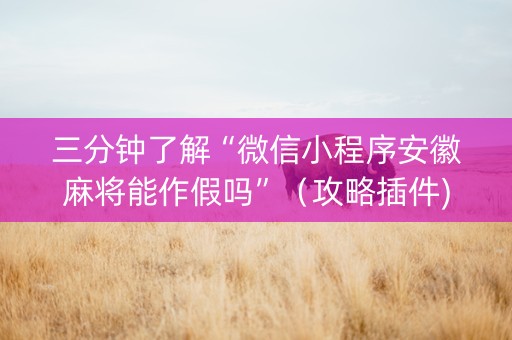 三分钟了解“微信小程序安徽麻将能作假吗”（攻略插件)