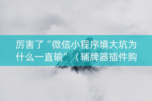 厉害了“微信小程序填大坑为什么一直输”（辅牌器插件购买)