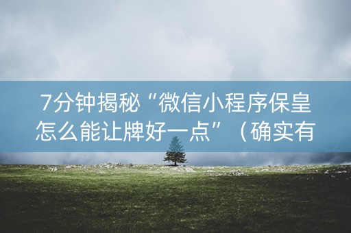 7分钟揭秘“微信小程序保皇怎么能让牌好一点”（确实有插件吗)