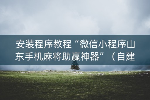 安装程序教程“微信小程序山东手机麻将助赢神器”（自建房怎么赢)