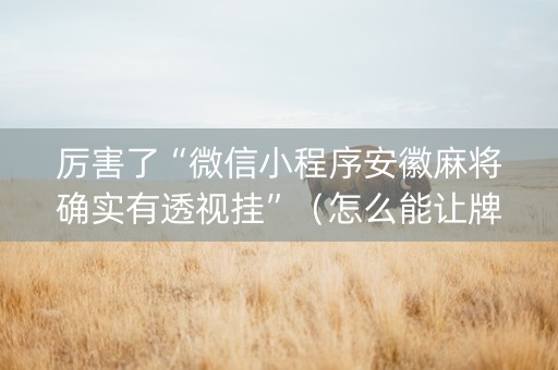 厉害了“微信小程序安徽麻将确实有透视挂”（怎么能让牌好一点)