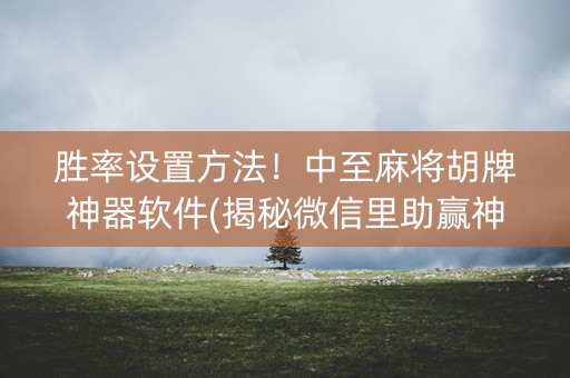 胜率设置方法！中至麻将胡牌神器软件(揭秘微信里助赢神器)