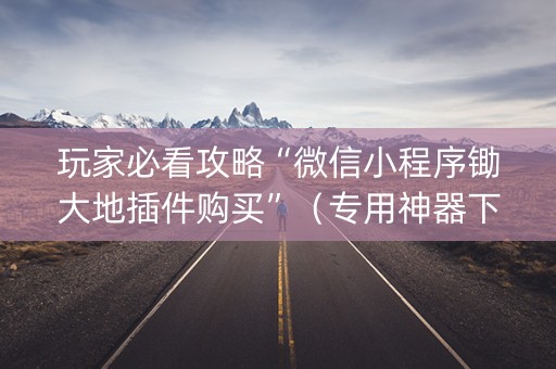 玩家必看攻略“微信小程序锄大地插件购买”（专用神器下载)