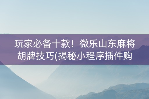 玩家必备十款！微乐山东麻将胡牌技巧(揭秘小程序插件购买)