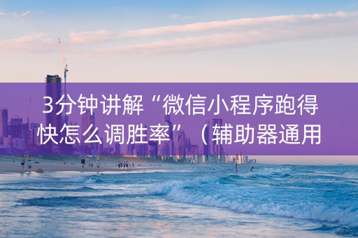3分钟讲解“微信小程序跑得快怎么调胜率”（辅助器通用版)