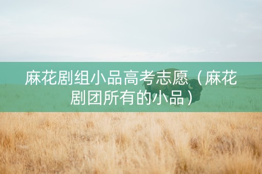 麻花剧组小品高考志愿（麻花剧团所有的小品）