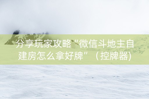 分享玩家攻略“微信斗地主自建房怎么拿好牌”（控牌器)