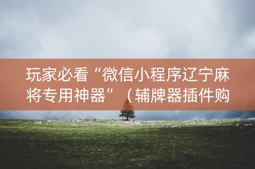 玩家必看“微信小程序辽宁麻将专用神器”（辅牌器插件购买)