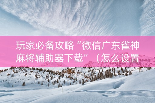 玩家必备攻略“微信广东雀神麻将辅助器下载”（怎么设置才能赢)