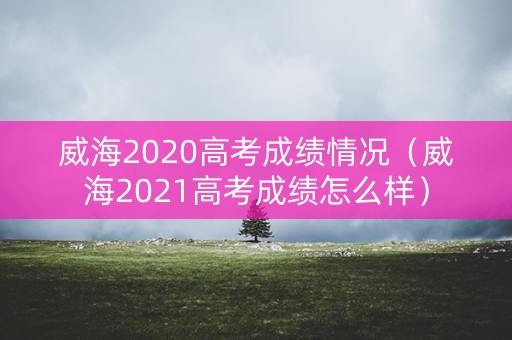 威海2020高考成绩情况（威海2021高考成绩怎么样）
