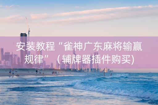 安装教程“雀神广东麻将输赢规律”（辅牌器插件购买)
