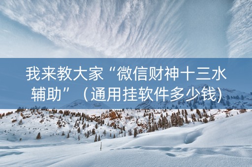 我来教大家“微信财神十三水辅助”（通用挂软件多少钱)