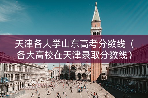 天津各大学山东高考分数线（各大高校在天津录取分数线）