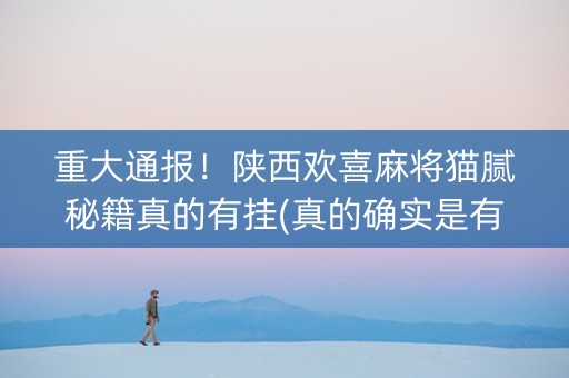 重大通报！陕西欢喜麻将猫腻秘籍真的有挂(真的确实是有挂)