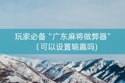 玩家必备“广东麻将做弊器”（可以设置输赢吗)