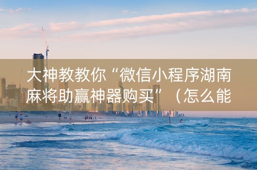 大神教教你“微信小程序湖南麻将助赢神器购买”（怎么能调好牌)