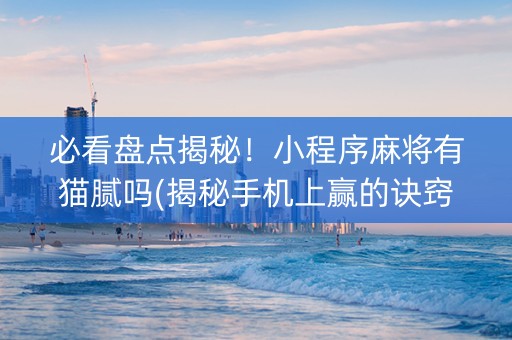 必看盘点揭秘！小程序麻将有猫腻吗(揭秘手机上赢的诀窍)
