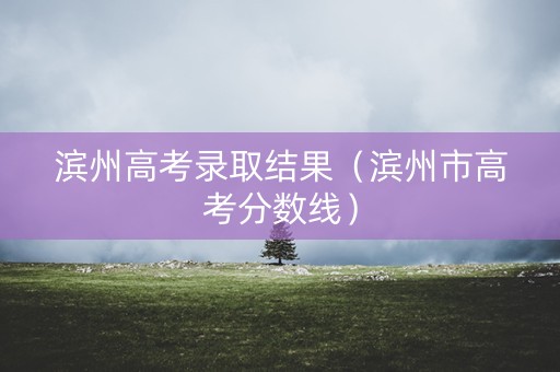 滨州高考录取结果（滨州市高考分数线）