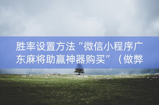 胜率设置方法“微信小程序广东麻将助赢神器购买”（做弊器软件下载)
