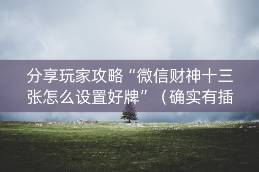 分享玩家攻略“微信财神十三张怎么设置好牌”（确实有插件吗)