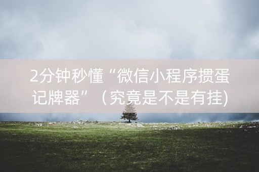 2分钟秒懂“微信小程序掼蛋记牌器”（究竟是不是有挂)