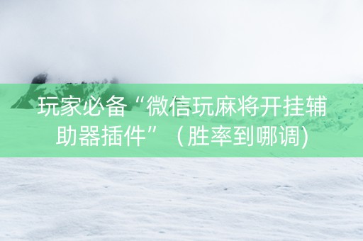 玩家必备“微信玩麻将开挂辅助器插件”（胜率到哪调)