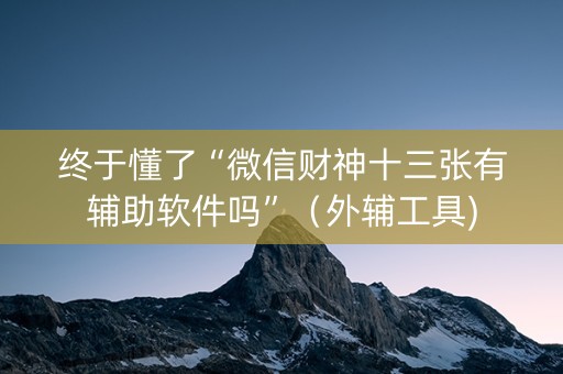 终于懂了“微信财神十三张有辅助软件吗”（外辅工具)