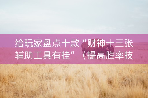 给玩家盘点十款“财神十三张辅助工具有挂”（提高胜率技巧)
