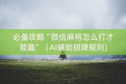 必备攻略“微信麻将怎么打才能赢”（AI辅助胡牌规则)