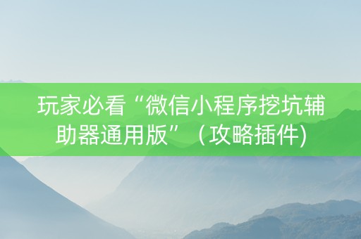 玩家必看“微信小程序挖坑辅助器通用版”（攻略插件)