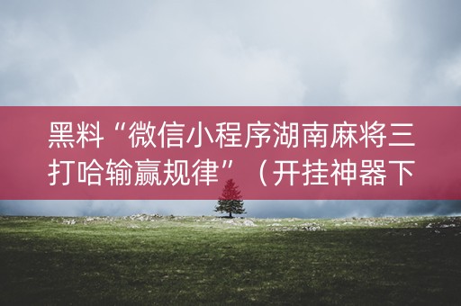 黑料“微信小程序湖南麻将三打哈输赢规律”（开挂神器下载)