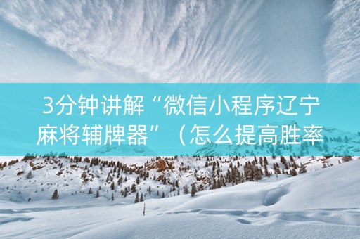 3分钟讲解“微信小程序辽宁麻将辅牌器”（怎么提高胜率)