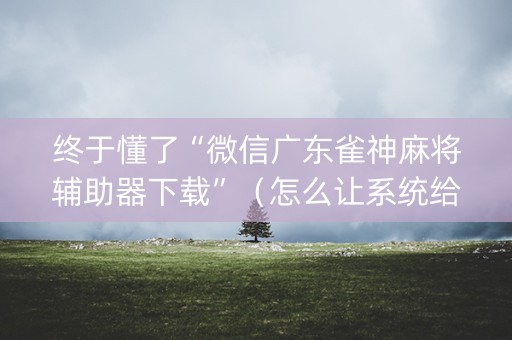 终于懂了“微信广东雀神麻将辅助器下载”（怎么让系统给你发好牌)