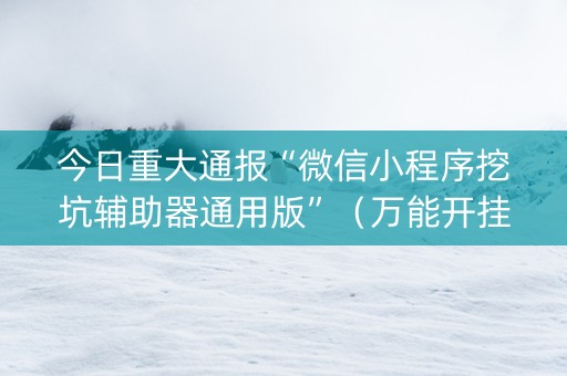 今日重大通报“微信小程序挖坑辅助器通用版”（万能开挂神器)