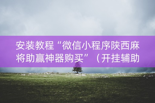 安装教程“微信小程序陕西麻将助赢神器购买”（开挂辅助器脚本)