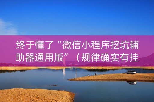 终于懂了“微信小程序挖坑辅助器通用版”（规律确实有挂)