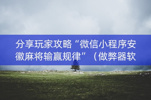 分享玩家攻略“微信小程序安徽麻将输赢规律”（做弊器软件下载)