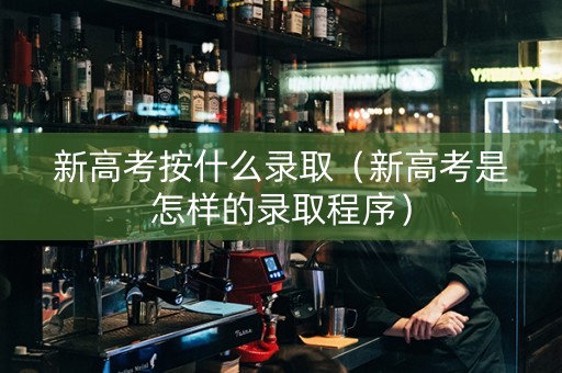新高考按什么录取（新高考是怎样的录取程序）