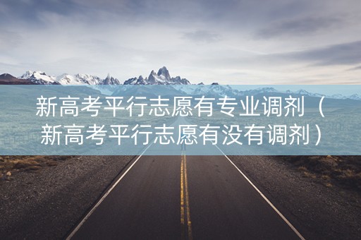 新高考平行志愿有专业调剂（新高考平行志愿有没有调剂）